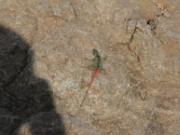 Marion, Romane South Africa 2014 (55 of 80) : Blyde canyion 3 rondavels, Marion visit